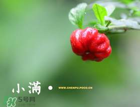 ?小滿可以回娘家嗎？?小滿能回娘家嗎？