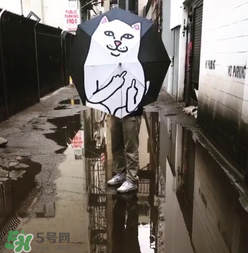ripndip是什么牌子？ripndip是什么檔次？