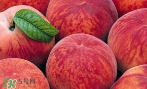 桃子和西瓜一起吃會中毒嗎？桃子和西瓜能一起吃嗎？