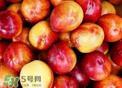 桃子的種類有哪些？哪種桃子最好吃？