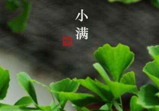 ?小滿可以回娘家嗎？?小滿能回娘家嗎？