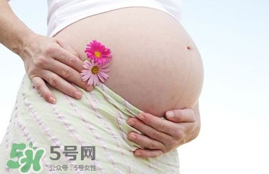 懷孕四個月需要做什么檢查？懷孕四個月胎兒圖