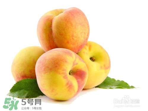 桃子的種類有哪些？哪種桃子最好吃？