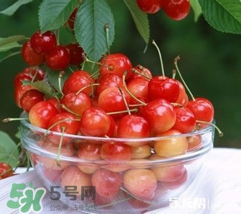 櫻桃是熱性還是涼性？櫻桃能多吃嗎？