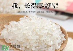 大米可以包粽子嗎？包粽子大米要泡多久？