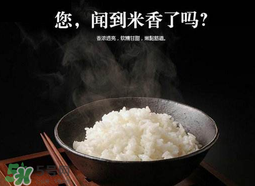大米可以包粽子嗎？包粽子大米要泡多久？