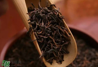 普洱茶能不能天天喝？天天喝普洱茶好嗎？