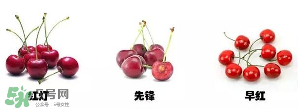 櫻桃和車?yán)遄佑惺裁磪^(qū)別？櫻桃和車?yán)遄幽膫€(gè)貴？