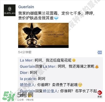 嬌蘭和嬌蘭佳人一樣嗎？嬌蘭和嬌蘭佳人什么聯(lián)系？
