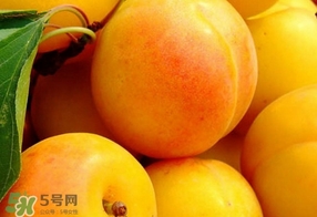 黃桃是什么季節(jié)的？黃桃是轉(zhuǎn)基因的嗎