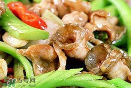 鱷魚肉有毒嗎？鱷魚肉有寄生蟲嗎