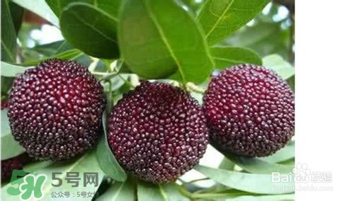 楊梅怎么吃好吃？楊梅怎么吃不酸？