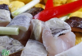 鱷魚(yú)肉有刺嗎？鱷魚(yú)肉有什么功效