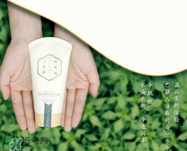 百雀羚三生花洗面奶多少錢？百雀羚三生花洗面奶價(jià)格