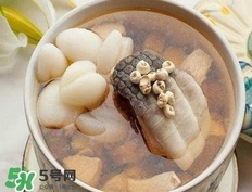 鱷魚肉燉湯要去皮嗎？鱷魚肉煲湯新鮮的好還是干的好