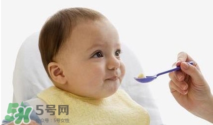 寶寶幾個月可以吃肉松？寶寶多大可以吃肉松