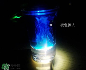 僵尸雞尾酒配方是什么？僵尸雞尾酒配方做法