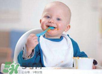 寶寶幾個月可以吃肉松？寶寶多大可以吃肉松