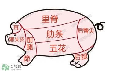 后臀尖多少錢一斤？豬后臀尖在哪？