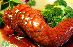鱷魚肉是寒性的嗎？ 鱷魚肉是寒性還是溫性？