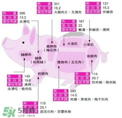 里脊肉是哪個(gè)部位？里脊肉是哪里的肉
