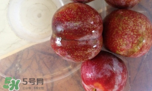 三華李可以和香蕉一起吃嗎？香蕉能和三華李一起吃嗎
