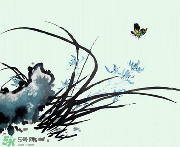 空谷幽蘭是什么書(shū)？空谷幽蘭講的是什么？