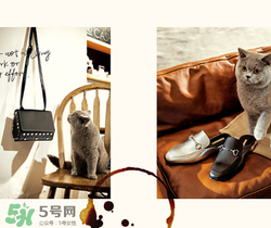 belle是什么牌子？百麗是哪個國家的品牌？