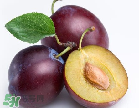 三華李可以放多久？三華李可以冷藏嗎？