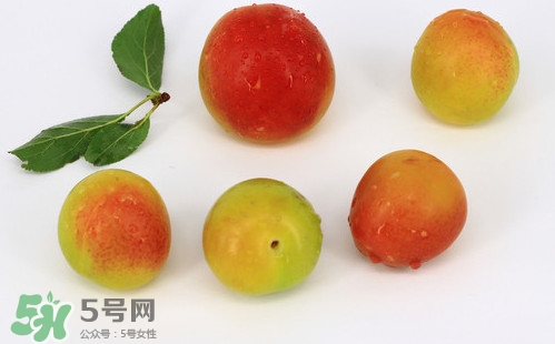 雙華李有什么營(yíng)養(yǎng)？雙華李的營(yíng)養(yǎng)價(jià)值