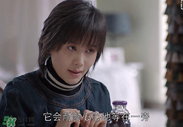 蒼蠅粉是什么意思？蒼蠅粉是什么東西？