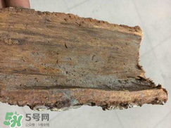 安哥拉樹皮的功效 安哥拉樹皮怎么用？