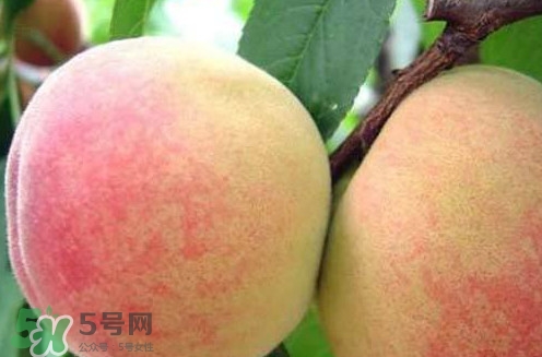 陽(yáng)山水蜜桃?guī)自路萆鲜校筷?yáng)山水蜜桃上市時(shí)間