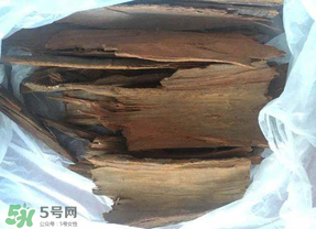 安哥拉樹皮能天天吃嗎？安哥拉樹皮天天吃可以嗎？