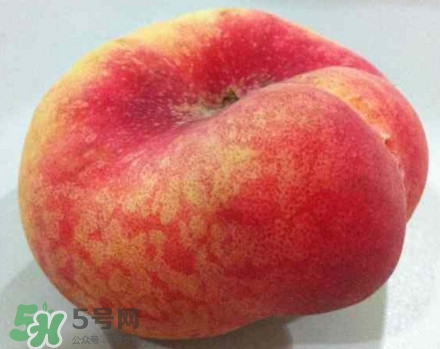 盤桃是蟠桃嗎？盤桃和蟠桃一樣嗎