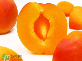 杏子幾月成熟？杏子什么時(shí)候成熟？