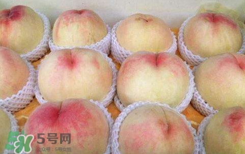 無錫水蜜桃多少錢一斤2017？無錫水蜜桃什么時候上市