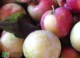 南華李什么時候成熟？南華李和三華李的區(qū)別