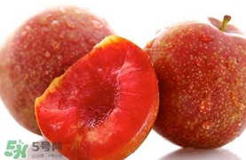 2017錢(qián)排三華李價(jià)格 三華李市場(chǎng)價(jià)格