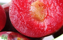 雙華李幾月可以吃？雙華李什么季節(jié)成熟
