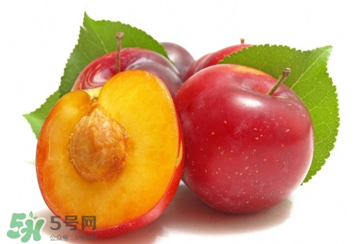 三華李可以放多久？三華李可以冷藏嗎？