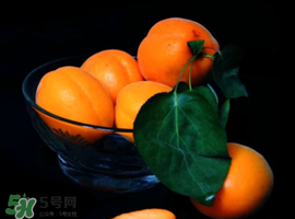 杏子可以和芒果一起吃嗎？吃完杏子可以吃芒果嗎？