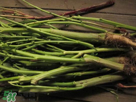 莧菜桿能吃嗎？莧菜桿子可以吃嗎？