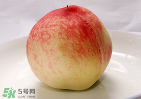 毛桃不能和什么一起吃？毛桃和什么相克？