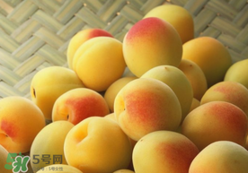 杏和雞蛋能一起吃嗎？杏子和雞蛋能一起吃嗎？