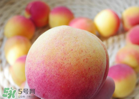 杏的熱量高嗎？一個(gè)杏的熱量是多少？