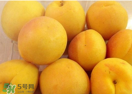 杏吃多了會(huì)怎么樣？杏吃多了會(huì)不會(huì)上火?