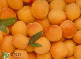 杏怎么催熟？杏怎么放熟的快？