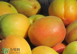 杏怎么催熟？杏怎么放熟的快？