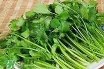 香菜洗腎有科學(xué)依據(jù)么？香菜能洗腎是真的嗎？